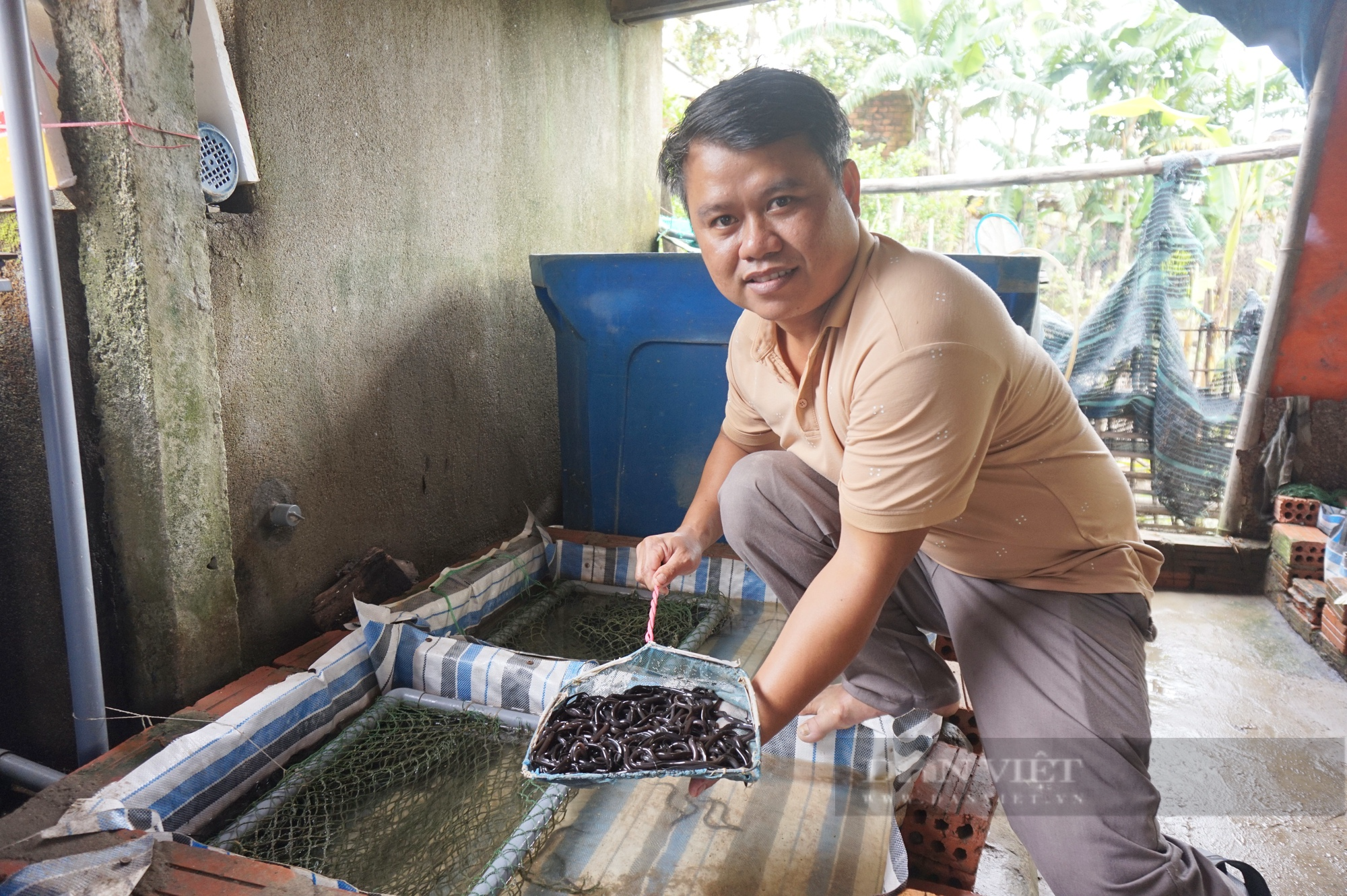 Quảng Nam: Nuôi con da trơn, bán chỉ 5.000 đồng/con, một ông nông dân thu lãi 200 triệu đồng - Ảnh 6.