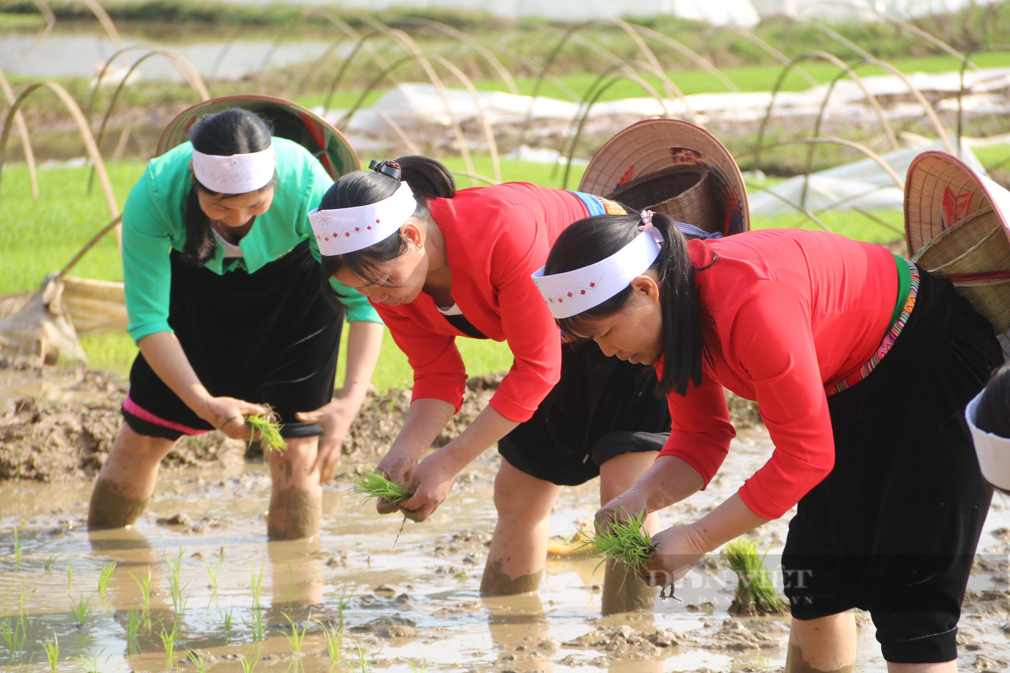  Lễ hội Khai hạ dân tộc Mường Hoà Bình thu hút hàng nghìn người tham gia - Ảnh 11.