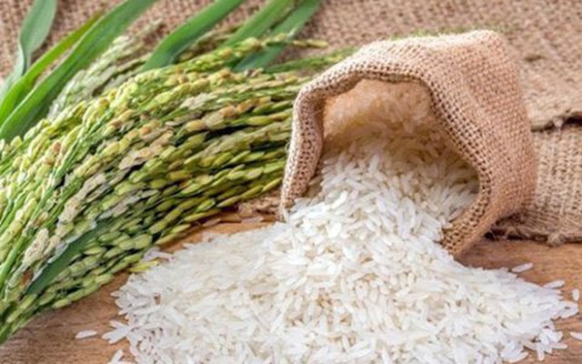 Đến lượt gạo Ấn Độ tăng vọt, giá gạo Việt chờ bứt phá - Ảnh 1.