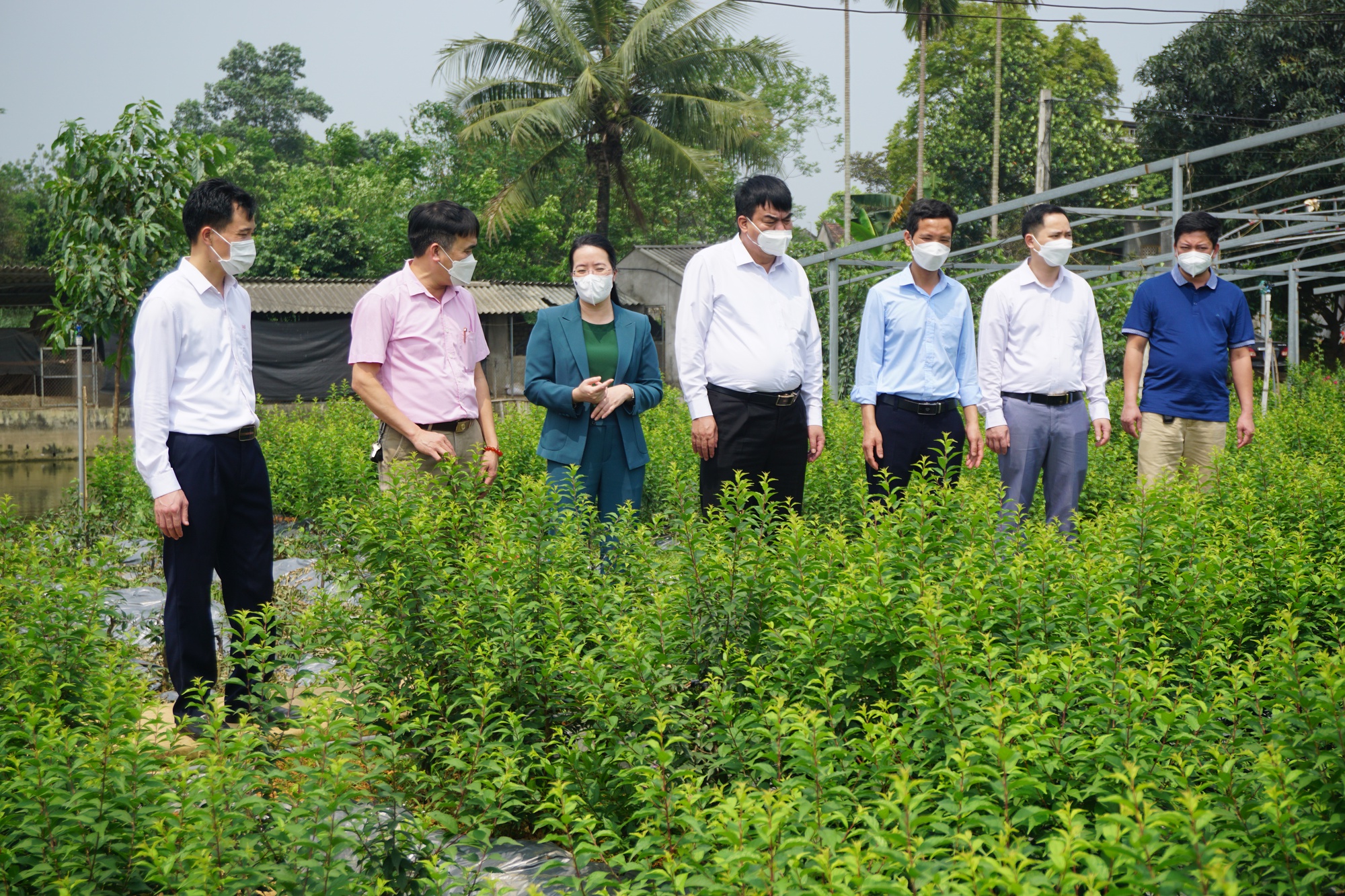 Hội Nông dân Hà Nội tạo sức lan toả từ 492 mô hình nông dân tham gia bảo vệ môi trường - Ảnh 2.
