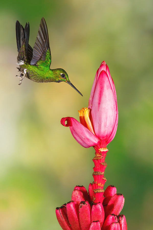 Sinh tháng Âm lịch này đón năm Quý Mão tốt lành, quý nhân phù trợ, thành công đến sớm - Ảnh 2.