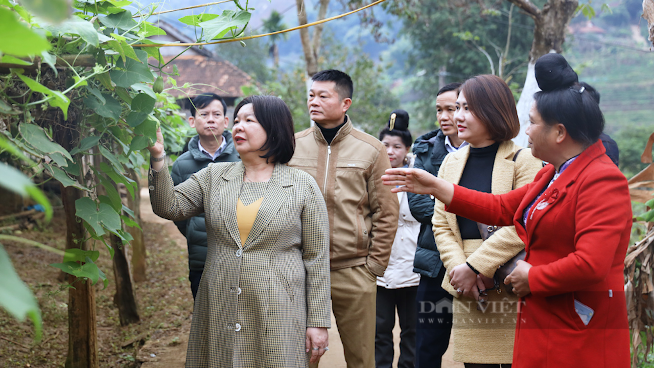 Phó Chủ tịch BCH TƯ Hội NDVN Cao Xuân Thu Vân thăm kiểm tra công tác xây dựng NTM tại Sơn La - Ảnh 3.