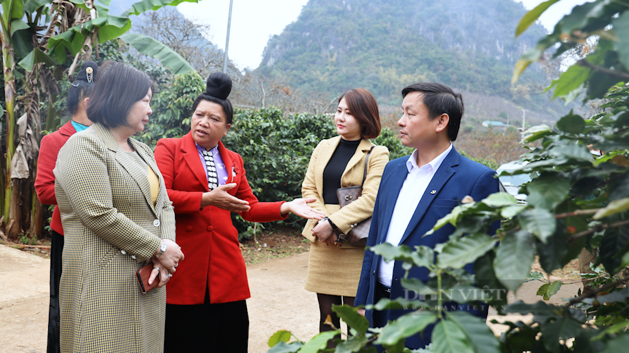 Phó Chủ tịch BCH TƯ Hội NDVN Cao Xuân Thu Vân thăm kiểm tra công tác xây dựng NTM tại Sơn La - Ảnh 5.