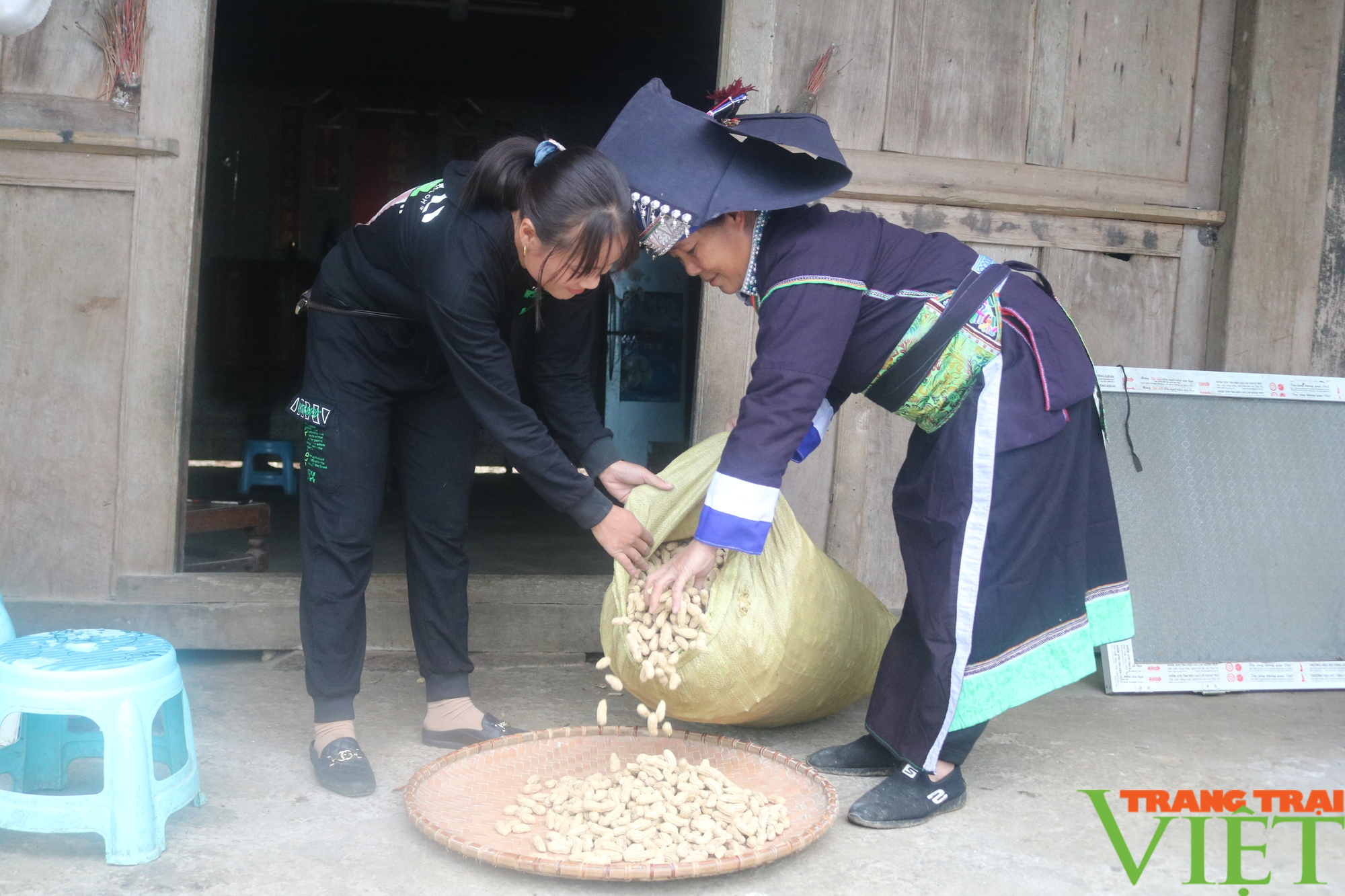 Phong trào nông dân SXKDG ở huyện biên giới Lào Cai - Ảnh 4.