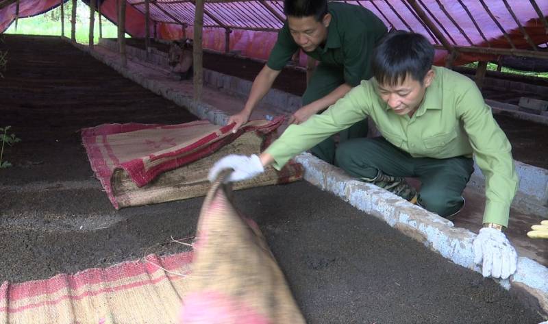 Nuôi con ăn bẩn trốn ánh sáng, ông nông dân Lào Cai kiếm thêm bộn tiền - Ảnh 6.