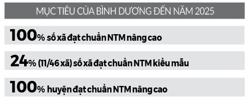 Tạo nền móng cho nông thôn mới Bình Dương - Ảnh 2.