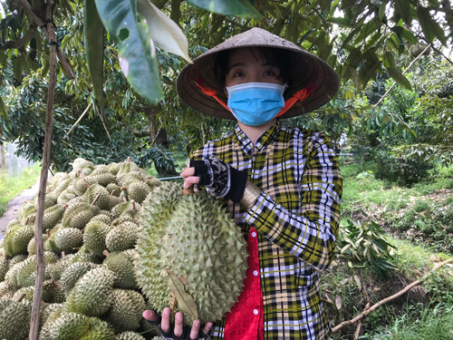 Tín hiệu vui đầu năm - Ảnh 1.