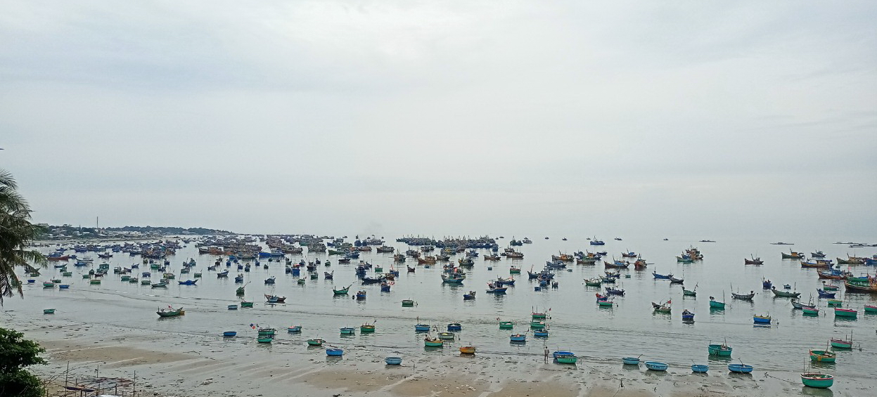 Thu giữ cân buôn bán hải sản gian dối, một cán bộ phường Mũi Né bị chặn đường hành hung - Ảnh 1.
