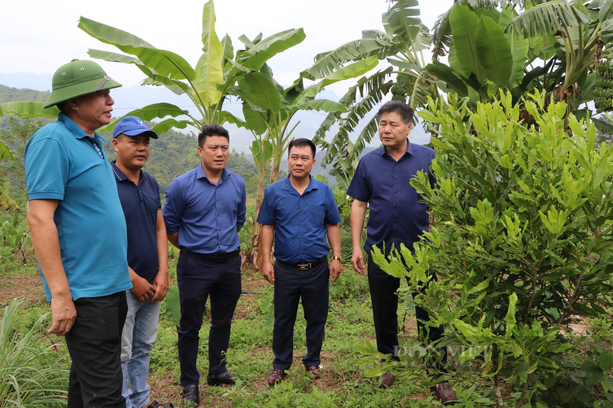 “Xây lại” hệ thống khuyến nông cộng đồng - Ảnh 3.