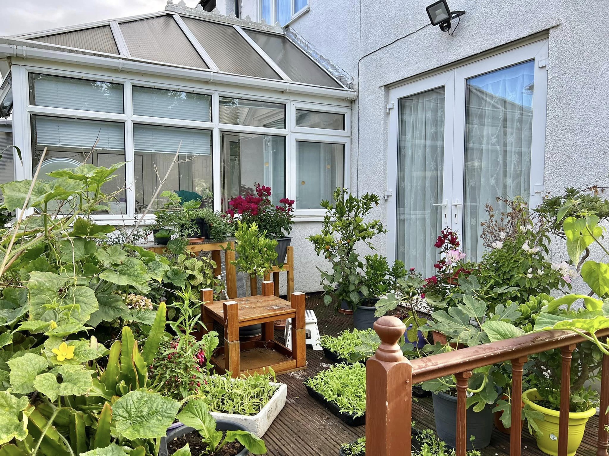 Vietnamese father makes a mobile garden with more than 100 kinds of vegetables, cooks all kinds of dishes to welcome Tet in the UK - Photo 6.