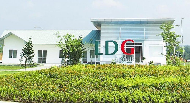 LDG Group (LDG) bị cưỡng chế hơn 7 tỷ đồng, quý 4 lỗ gần 39 tỷ đồng - Ảnh 1.