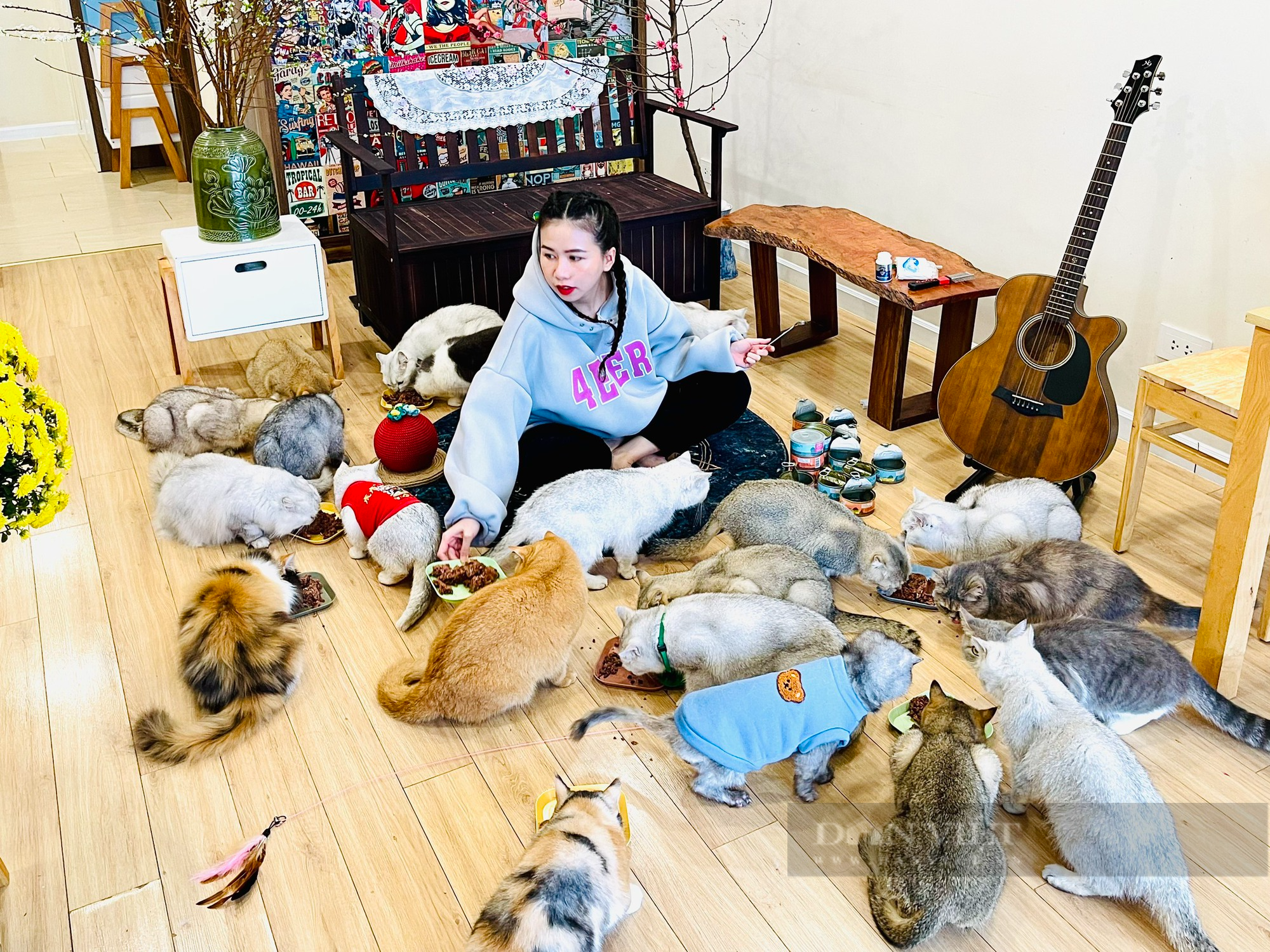 Hà Nội: Cô gái yêu mèo đầu tư hàng trăm triệu nuôi 30 con tại căn hộ chung cư - Ảnh 1.