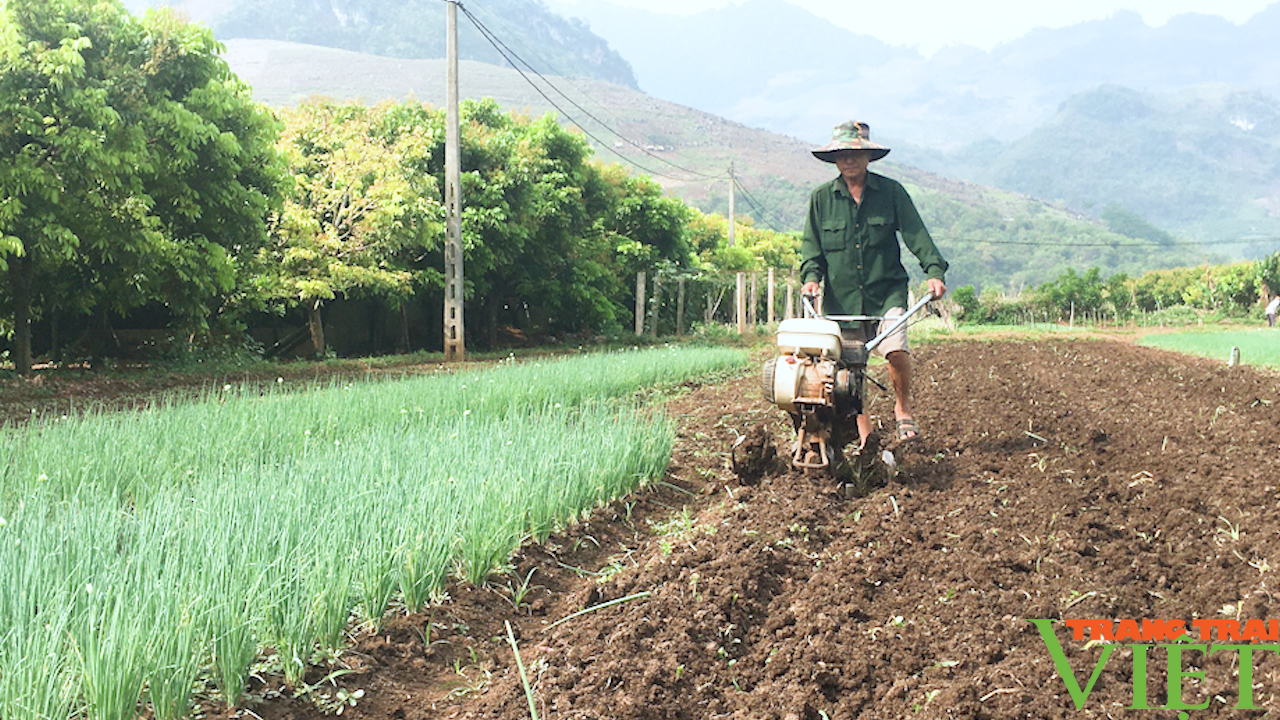 Nông dân vùng cao thay đổi tư duy làm nông nghiệp - Ảnh 2.