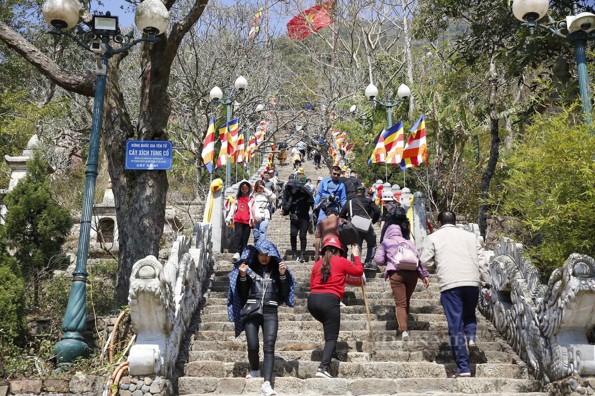 Du khách thi nhau chà tiền 'đánh bóng' chùa Đồng trên đỉnh Yên Tử - Ảnh 8.