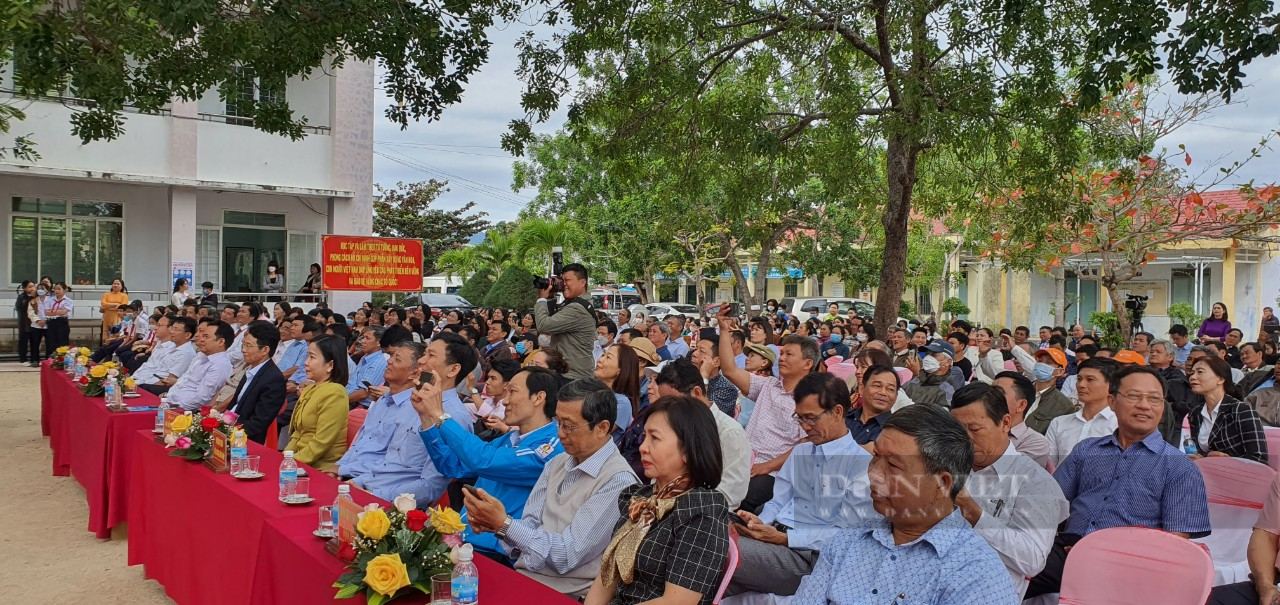 Hội Nông dân Khánh Hòa: Phát động Tết trồng cây - Ảnh 6.