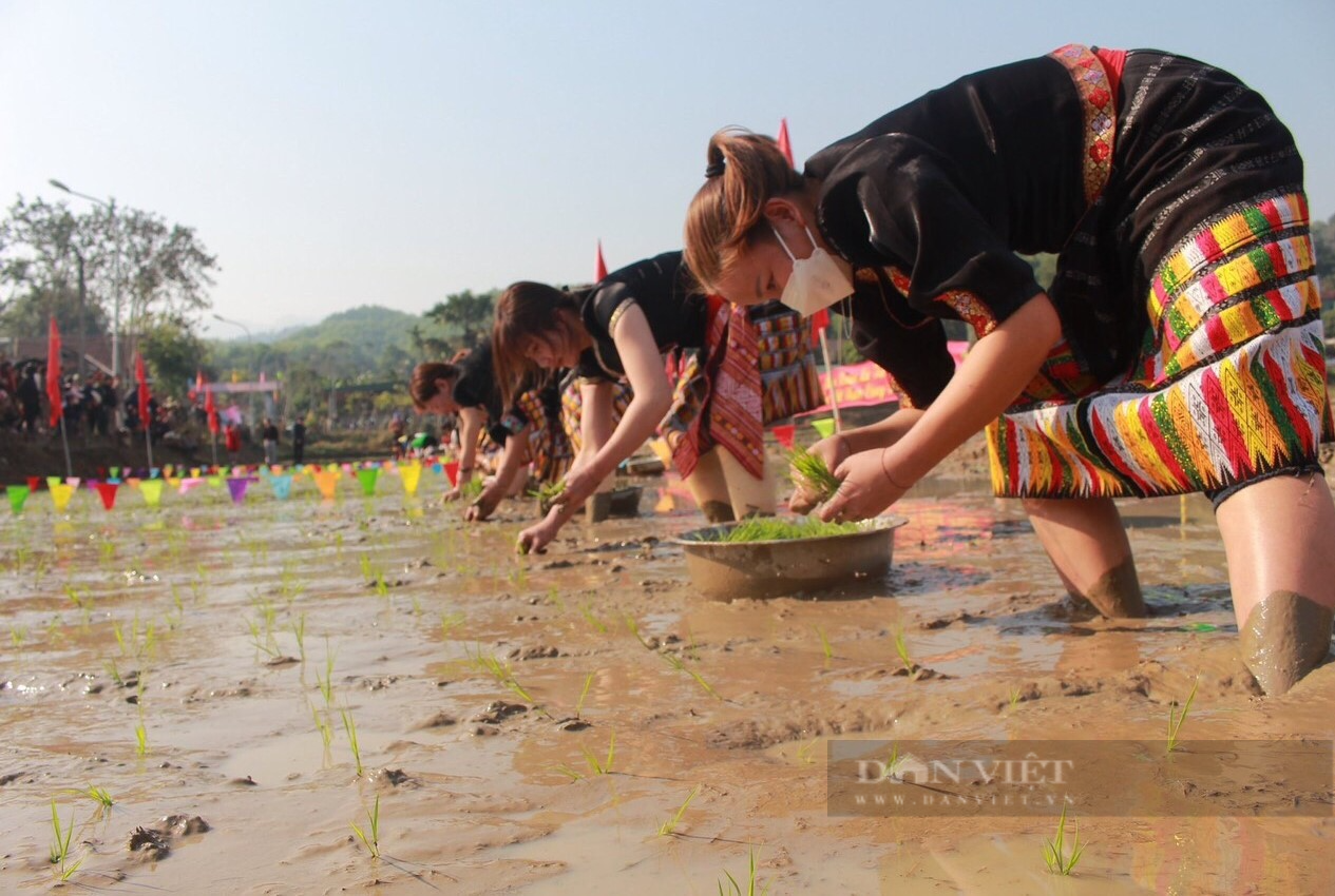 Chị em người Thái ở Nghệ An xúng xính váy áo, lội bùn thi cấy lúa trong ngày hội xuống đồng - Ảnh 2.
