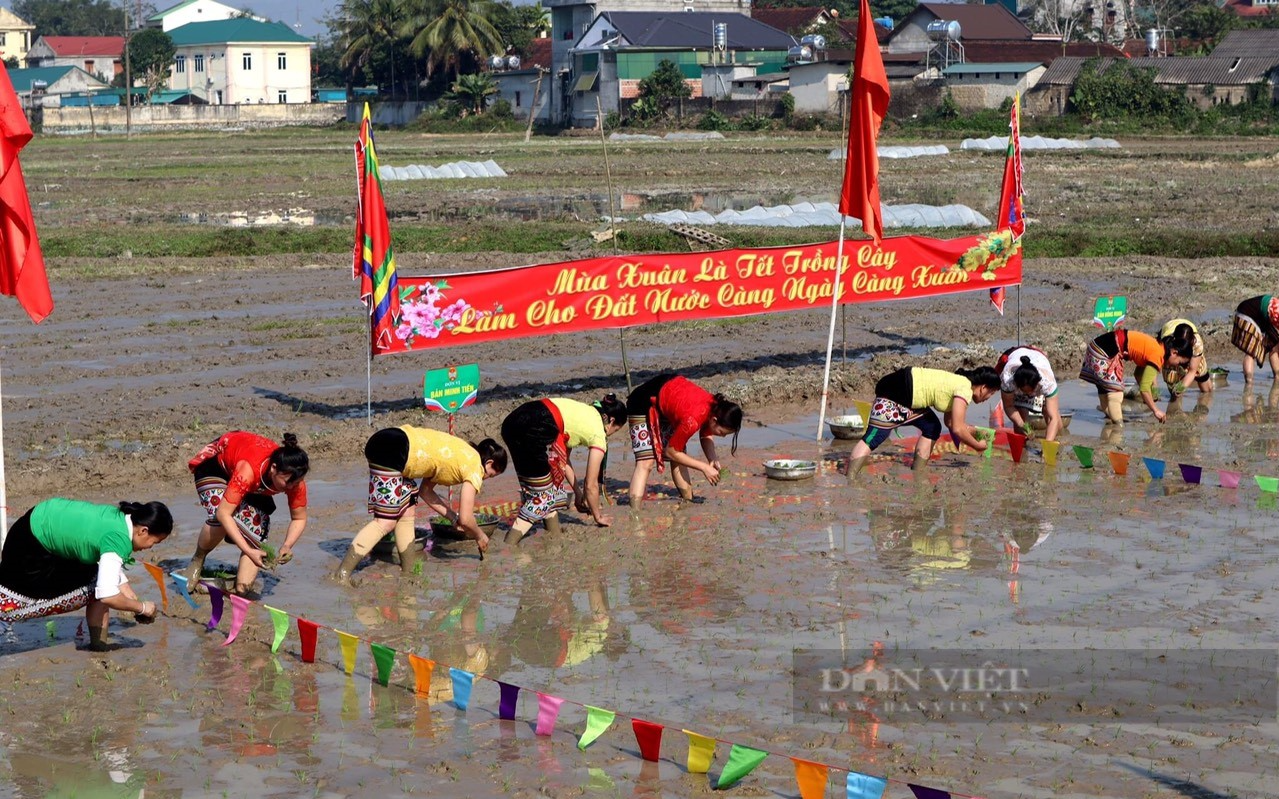 Chị em người Thái ở Nghệ An xúng xính váy áo, lội bùn thi cấy lúa trong ngày hội xuống đồng - Ảnh 4.