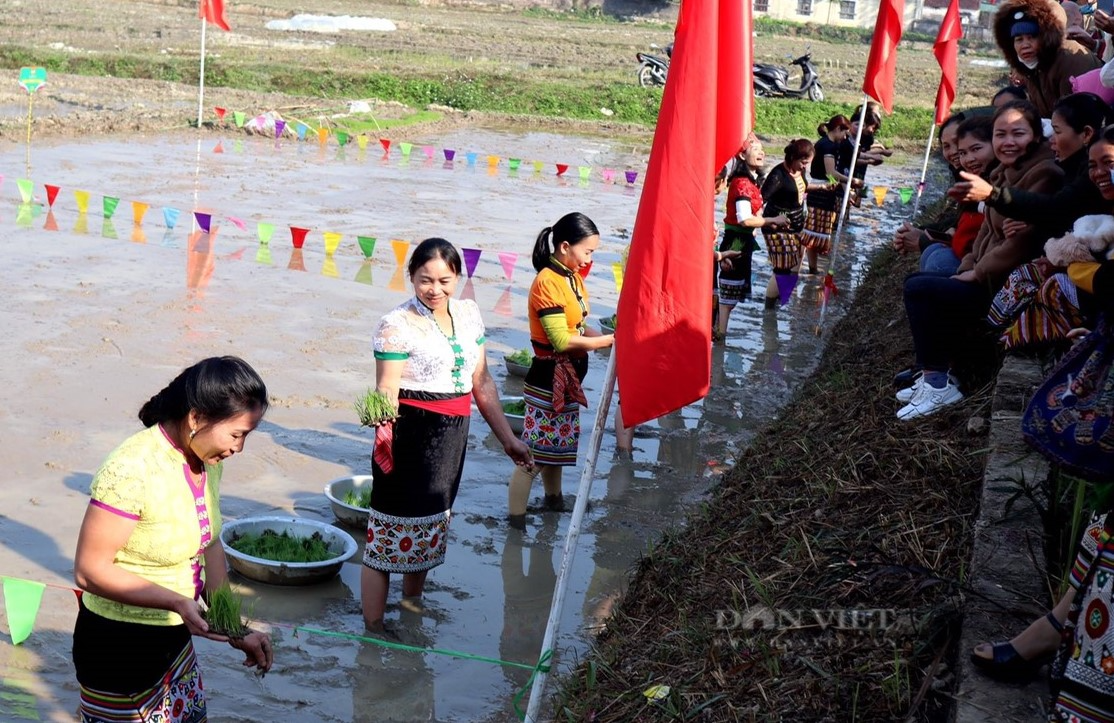 Chị em người Thái ở Nghệ An xúng xính váy áo, lội bùn thi cấy lúa trong ngày hội xuống đồng - Ảnh 5.