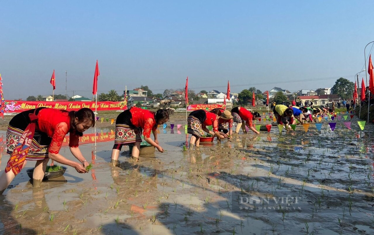 Chị em người Thái ở Nghệ An xúng xính váy áo, lội bùn thi cấy lúa trong ngày hội xuống đồng - Ảnh 6.