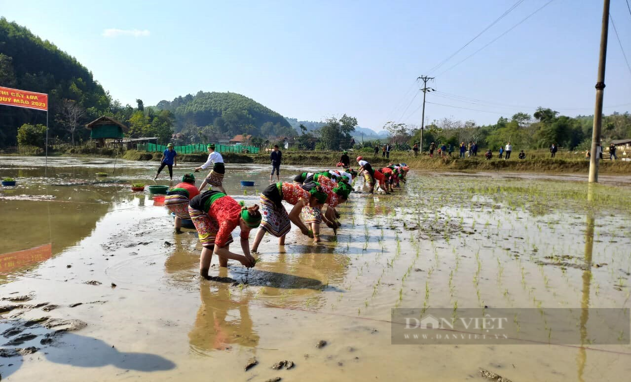 Chị em người Thái ở Nghệ An xúng xính váy áo, lội bùn thi cấy lúa trong ngày hội xuống đồng - Ảnh 7.