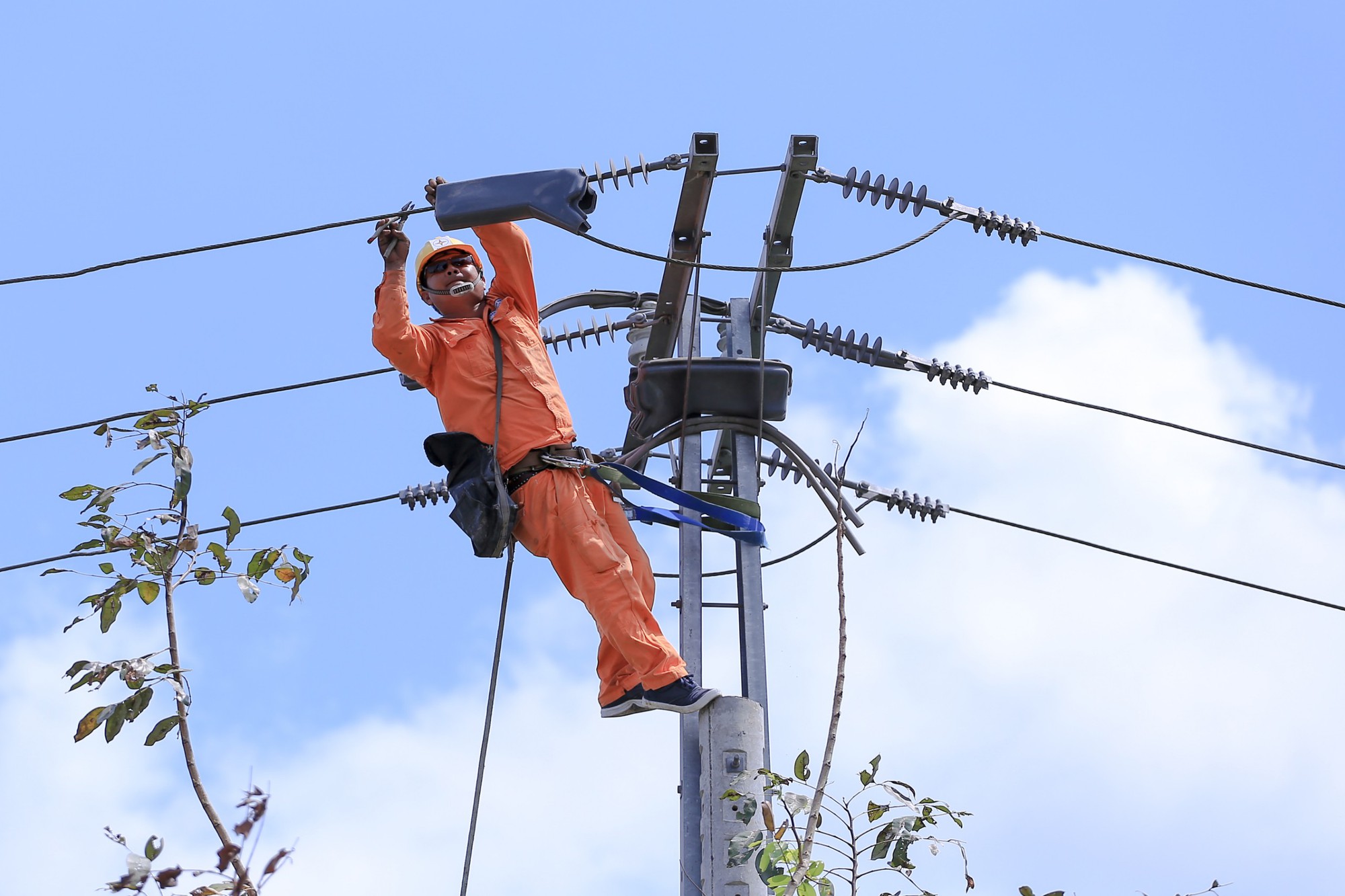 Điện lực miền Nam: Dòng điện &quot;chạy&quot; an toàn, đầy đủ trong dịp Tết Nguyên đán - Ảnh 2.