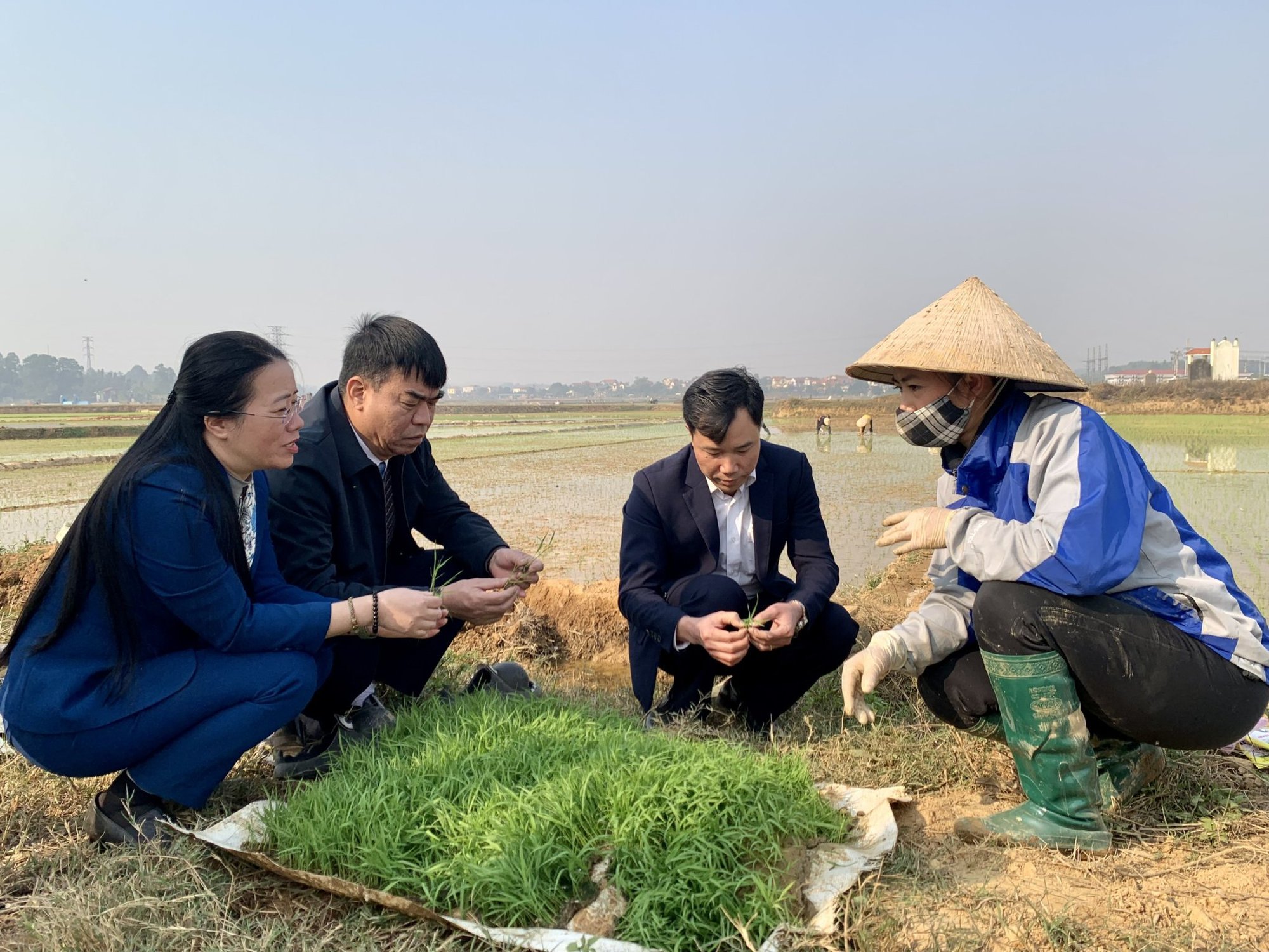 Chủ tịch Hội Nông dân TP Hà Nội tham gia Tết trồng cây tại xã Đồng Thái, huyện Ba Vì - Ảnh 7.