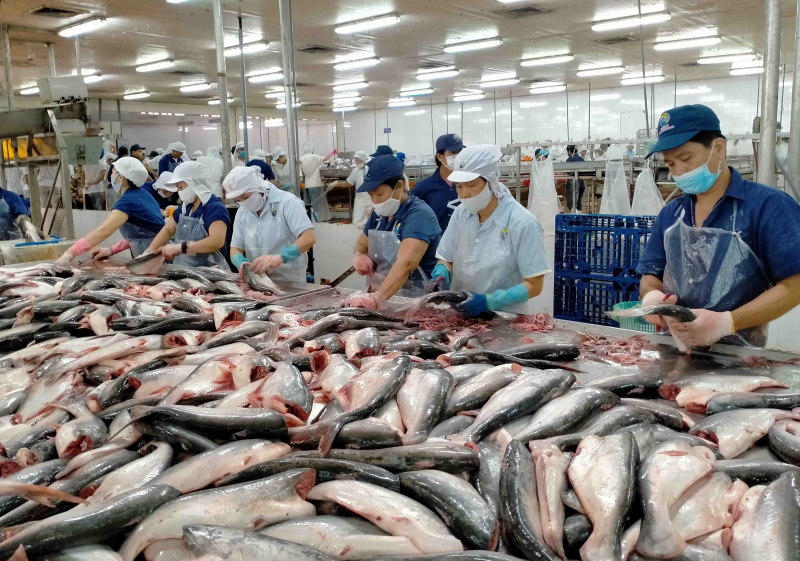 Tại sao Mỹ giảm nhập khẩu tôm, tăng nhập khẩu cá, mua nhiều nhất của Việt Nam sản phẩm nào? - Ảnh 1.