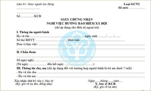 Cơ quan nào cấp Giấy chứng nhận nghỉ việc hưởng BHXH? - Ảnh 1.