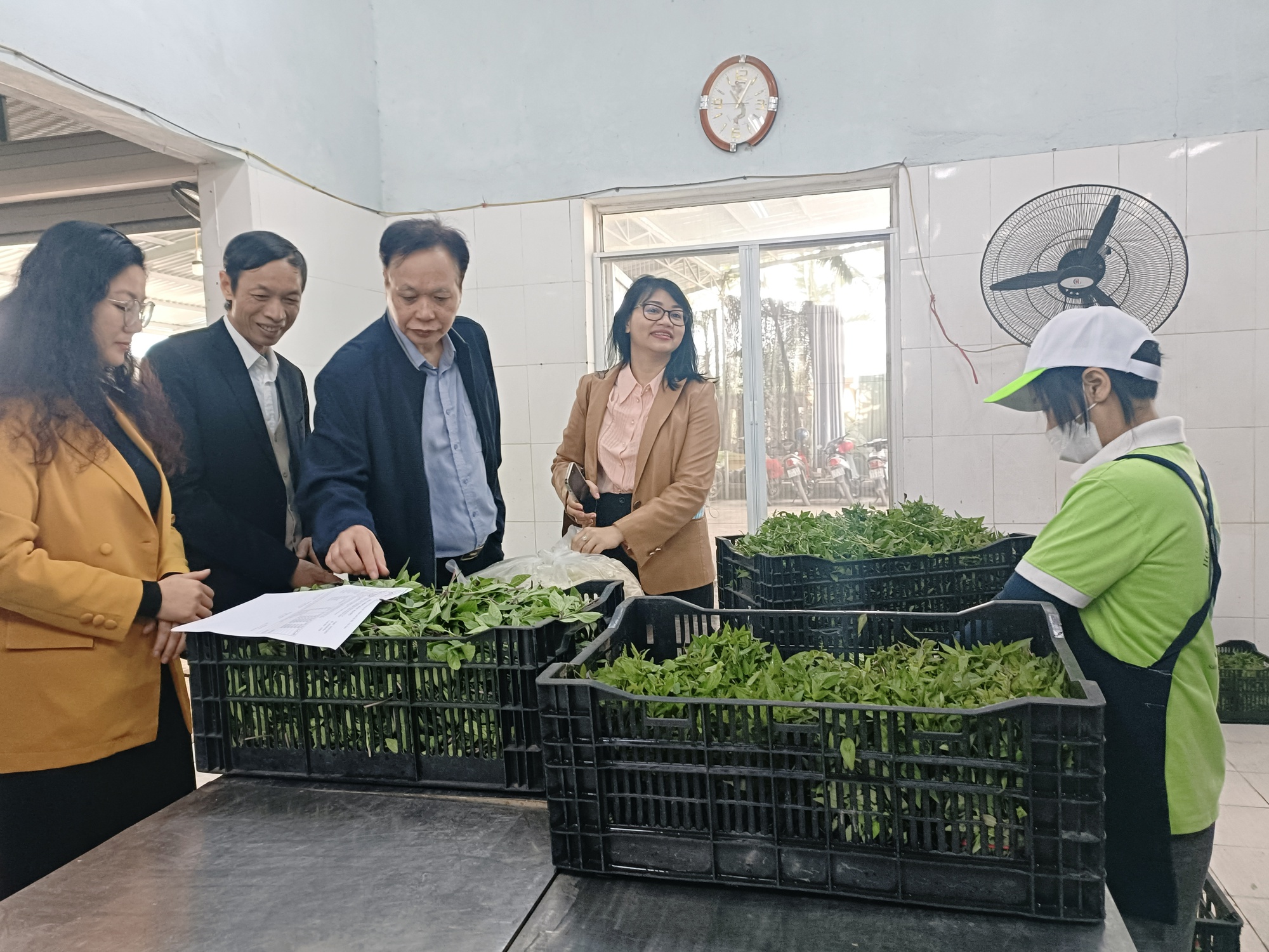 Bộ NNPTNT kiểm tra nguồn cung thực phẩm cho Tết Quý Mão tại Hà Nội: Không để &quot;rau VietGAP rởm&quot; tuồn vào siêu thị - Ảnh 3.