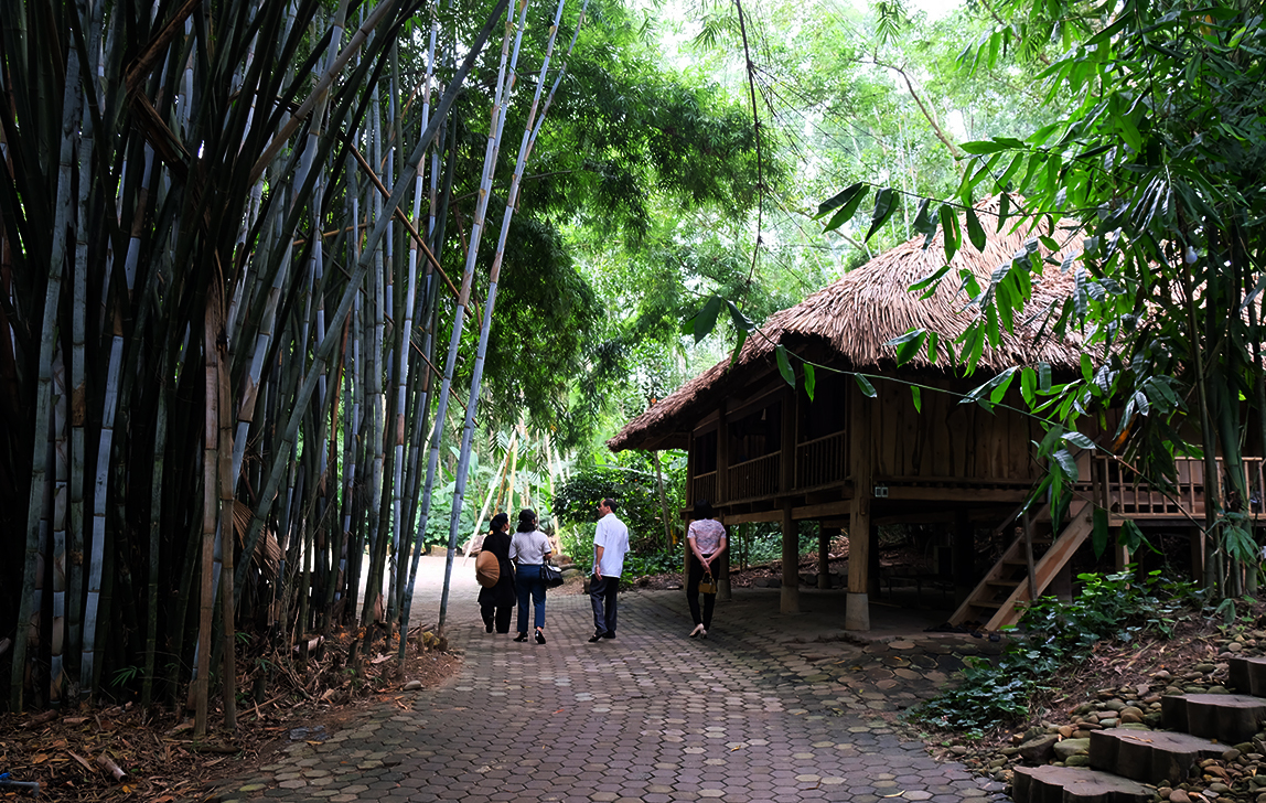 Toàn cảnh làng nhà sàn Việt nằm trong top tốt nhất thế giới ở Thái Nguyên - Ảnh 6.