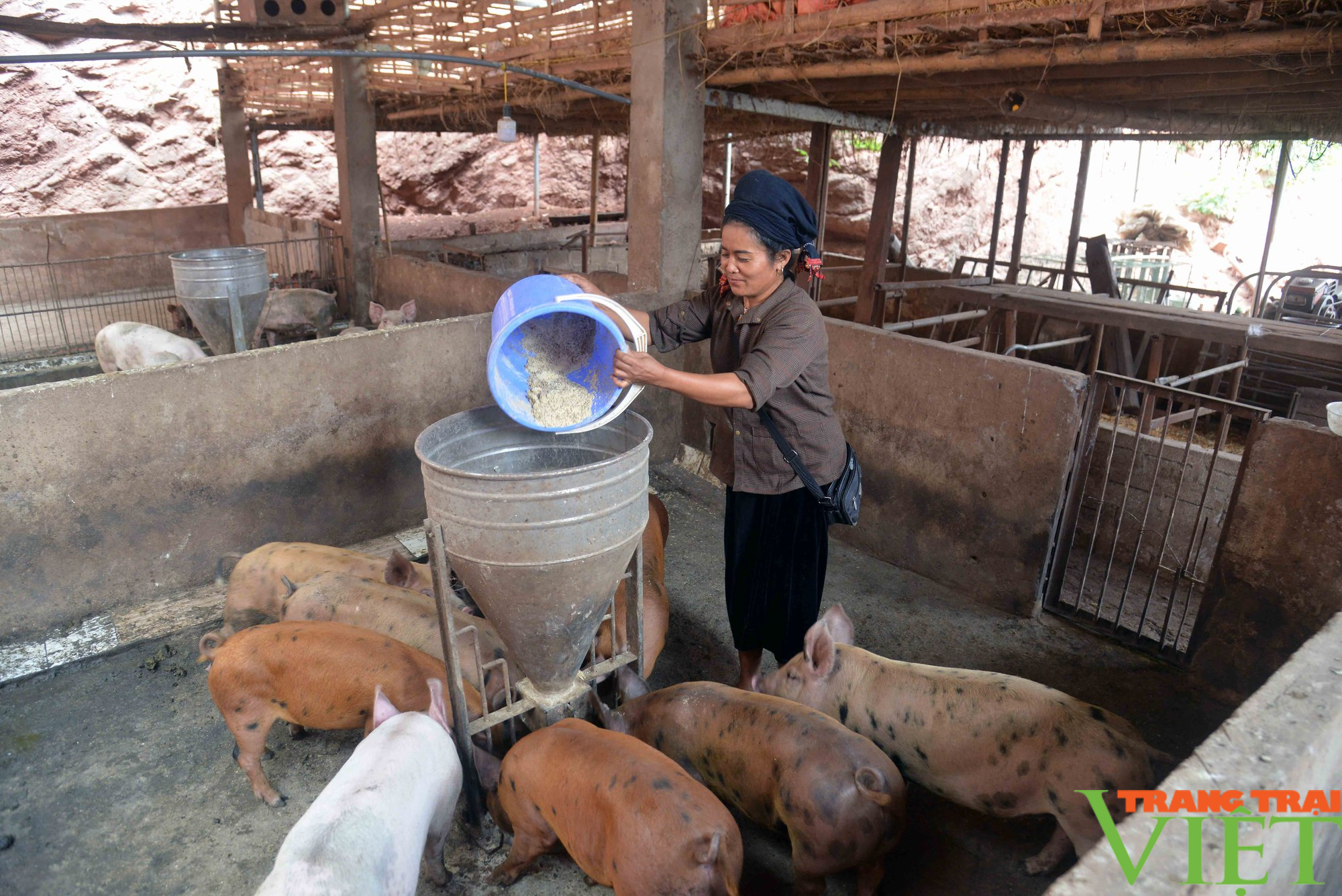 Sơn La: Đồng vốn Quỹ hỗ trợ nông dân giúp nông dân làm giàu - Ảnh 1.