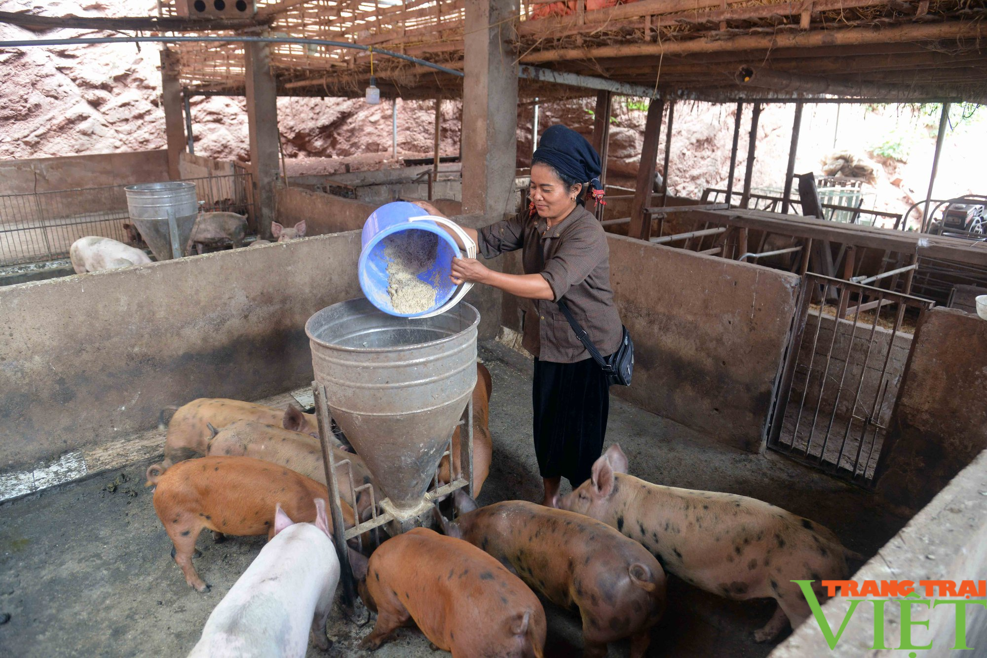 Sơn La: Đồng vốn Quỹ hỗ trợ nông dân giúp nông dân làm giàu