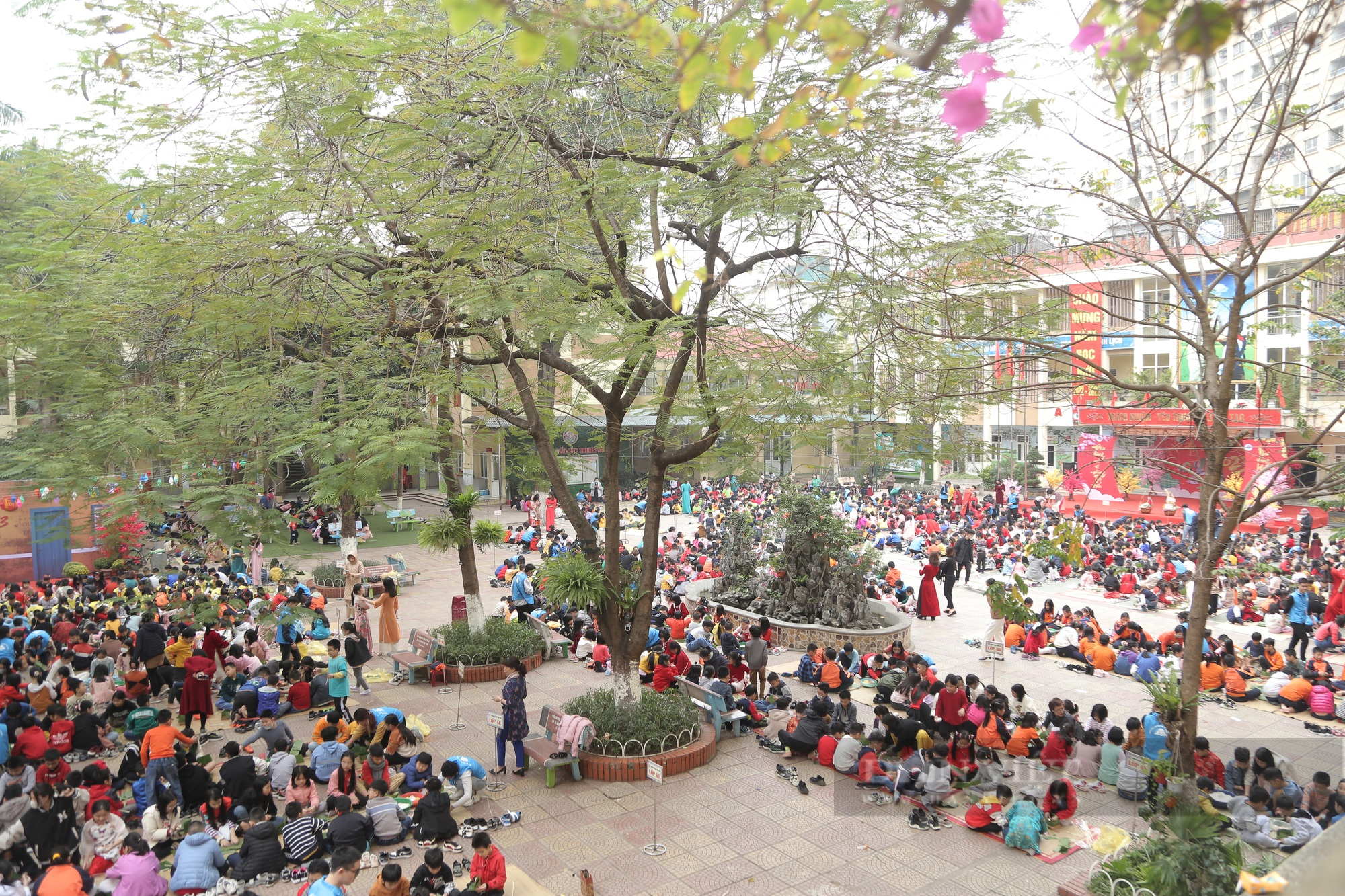 Gần 2.000 học sinh tiểu học ở Hà Nội trải nghiệm gói bánh chưng trên sân trường - Ảnh 1.