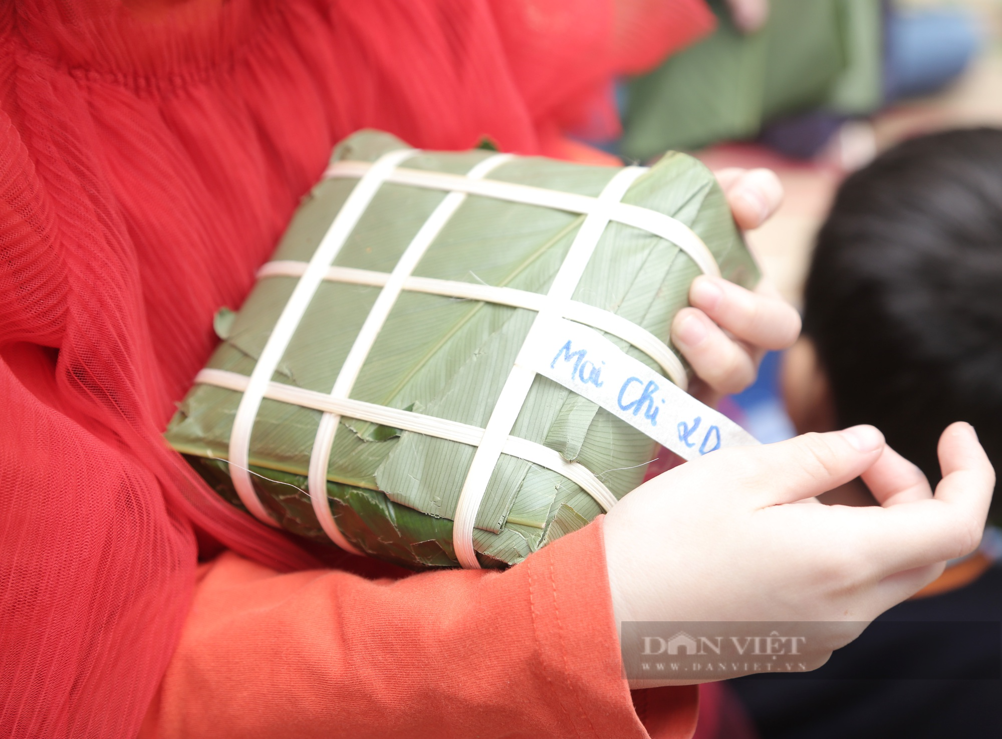 Gần 2.000 học sinh tiểu học ở Hà Nội trải nghiệm gói bánh chưng trên sân trường - Ảnh 8.