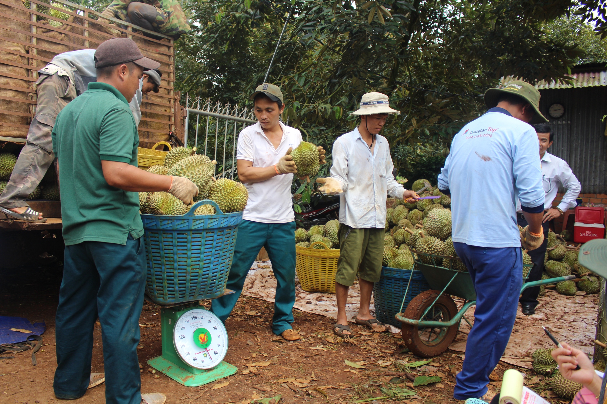 Đắk Lắk: Chú trọng tái cơ cấu ngành nông nghiệp, hướng tới nông nghiệp đa giá trị - Ảnh 4.