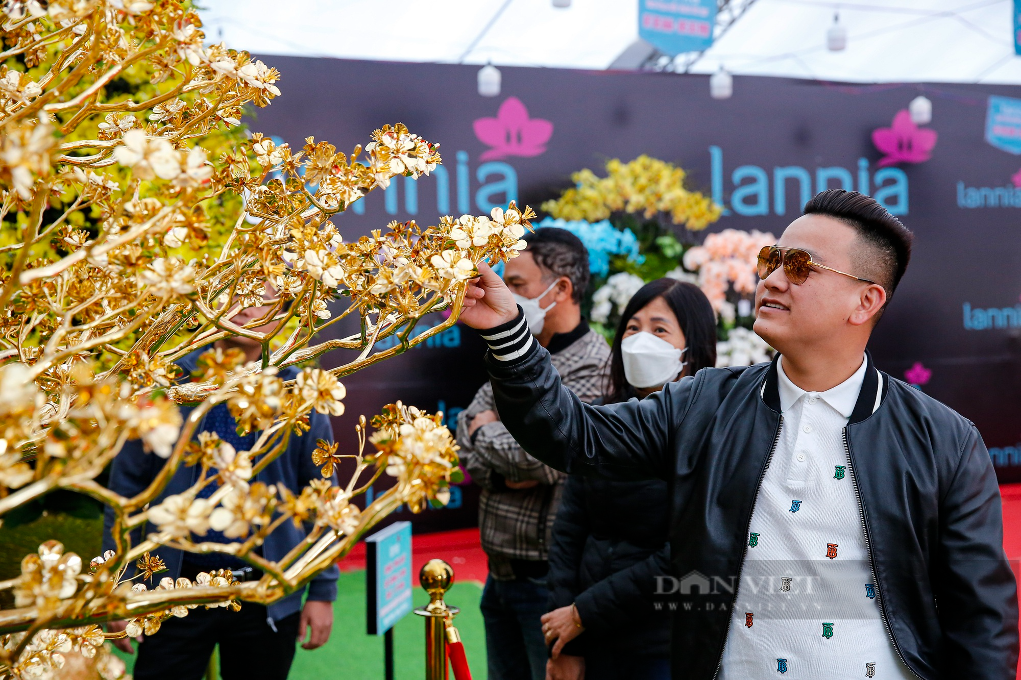 Ngắm cây mai mạ vàng 24k lớn nhất Việt Nam được chào bán 5,5 tỷ đồng tại Hà Nội - Ảnh 7.