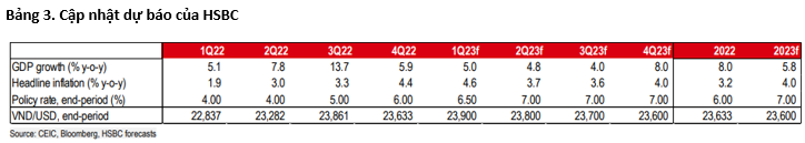 HSBC chỉ ra những thách thức Việt Nam phải đối mặt dù năm 2022 tăng trưởng thuộc hàng top châu Á - Ảnh 3.