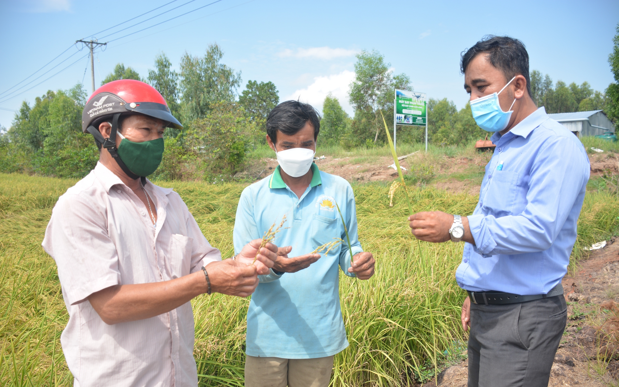 Tỷ phú nông dân chỉ trồng lúa ở Kiên Giang mà mua được xe hơi tiền tỷ, cánh đồng thẳng cánh cò bay