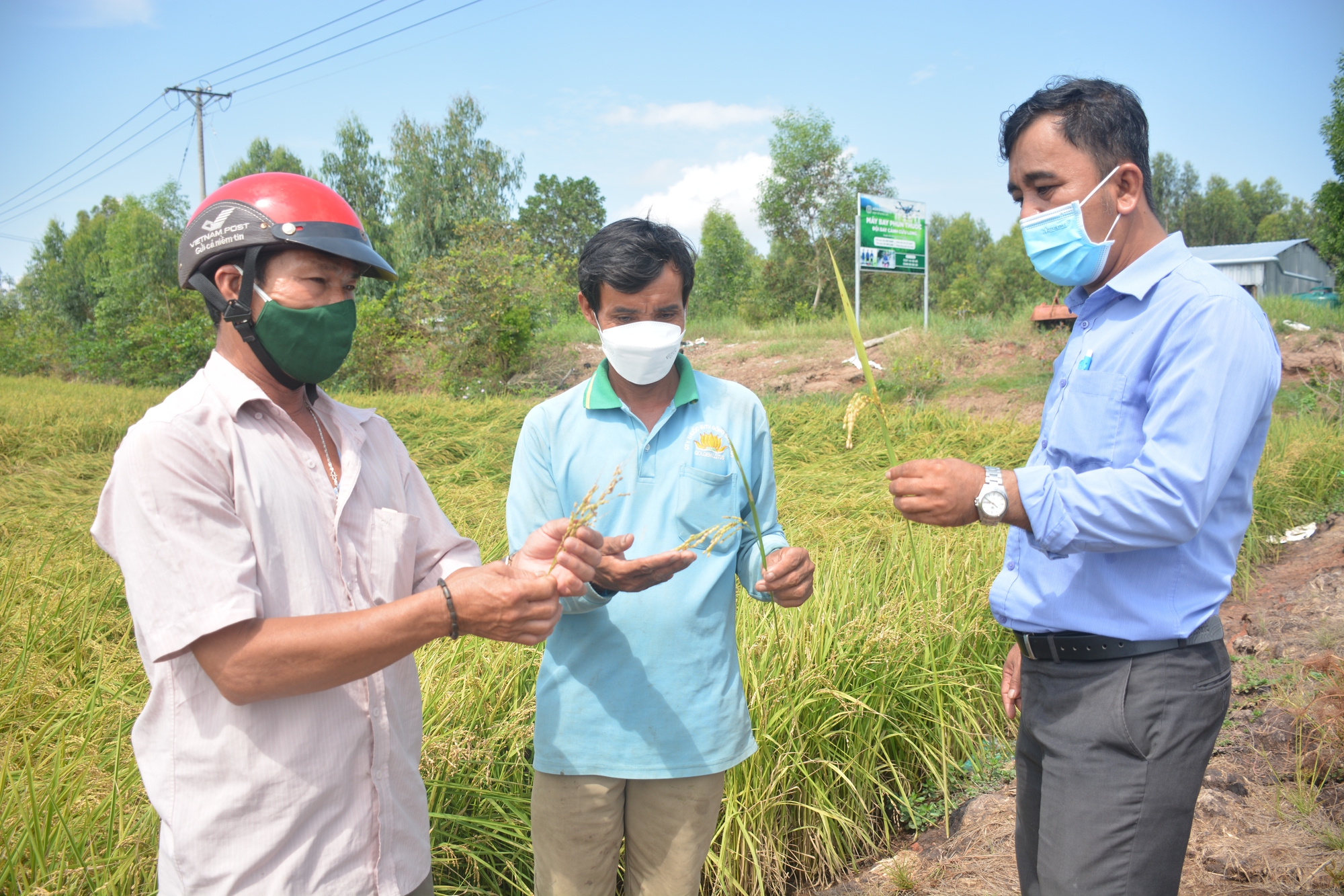 Tỷ phú nông dân chỉ trồng lúa ở Kiên Giang mà mua được xe hơi tiền tỷ, cánh đồng thẳng cánh cò bay - Ảnh 2.