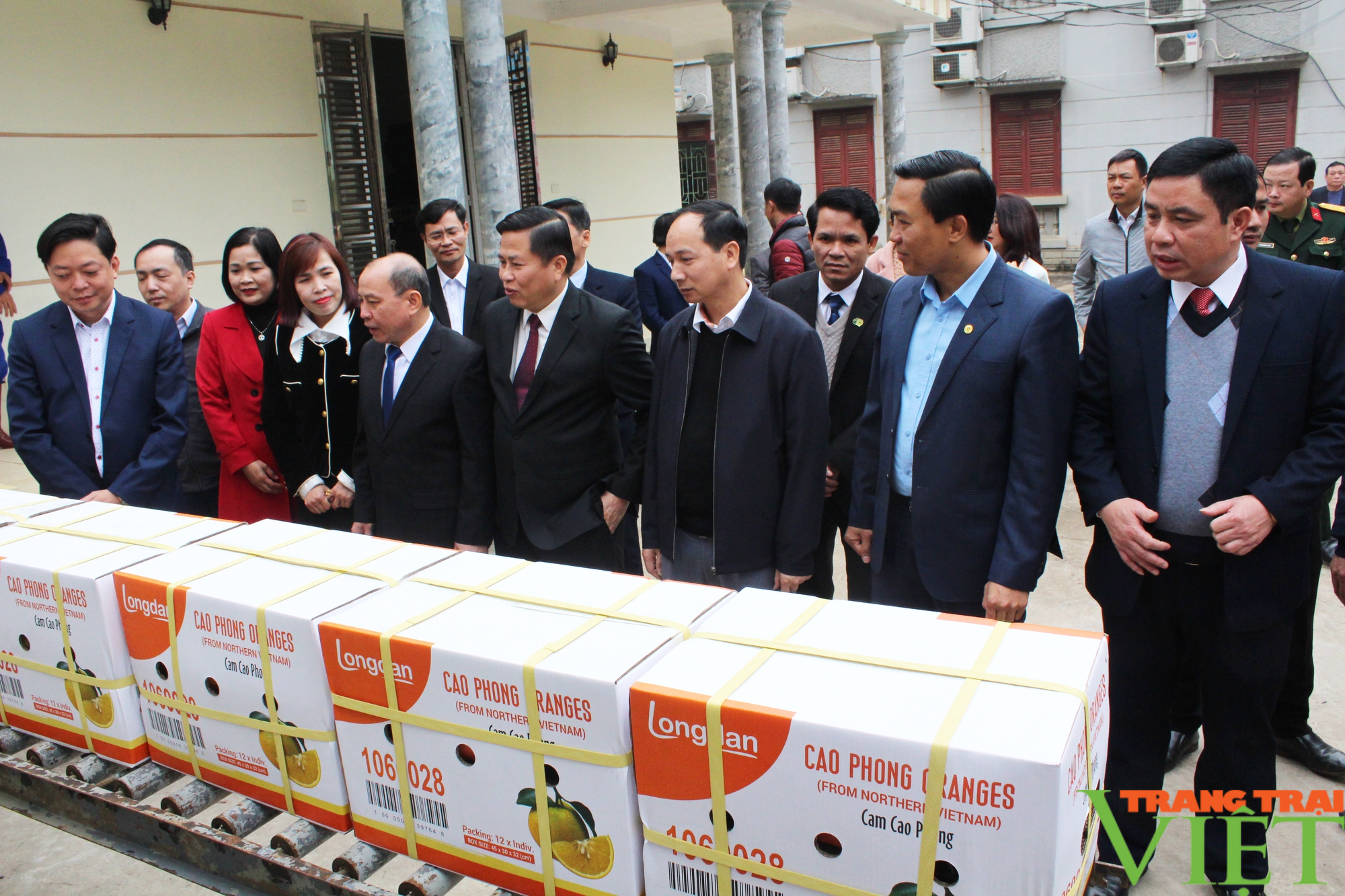 Hòa Bình: Xuất khẩu 7 tấn cam Cao Phong sang Vương quốc Anh - Ảnh 2.