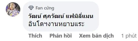CĐV Thái Lan: &quot;Việt Nam và Indonesia chỉ đấu võ trên sân&quot; - Ảnh 2.