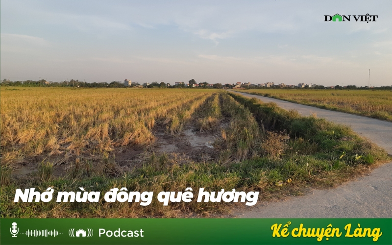 Nhớ mùa đông quê hương - Ảnh 1.