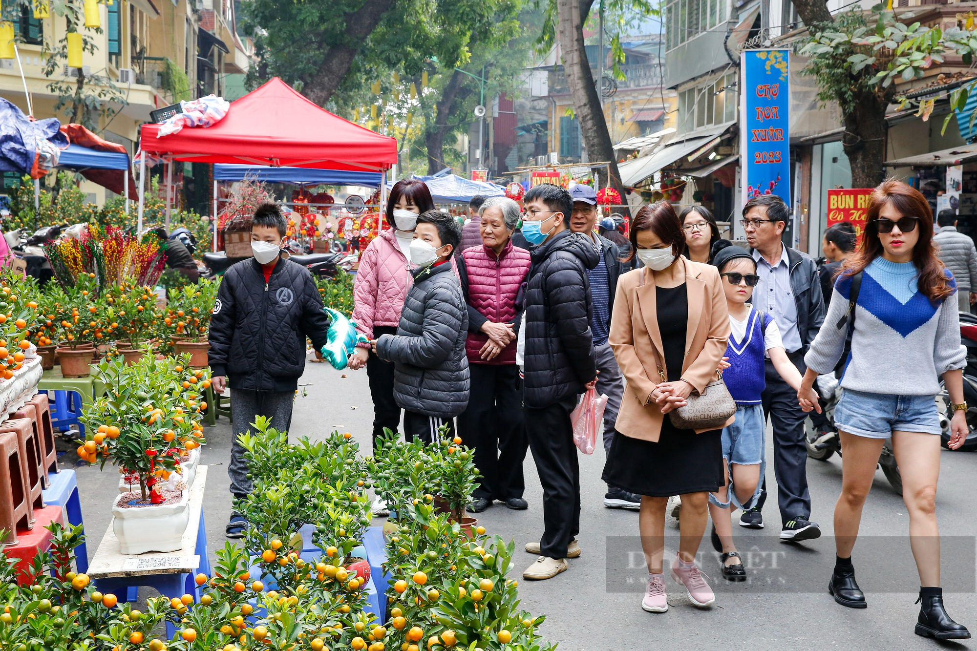Không khí Tết tràn ngập chợ hoa hơn 100 năm tuổi tại phố cổ Hà Nội - Ảnh 2.