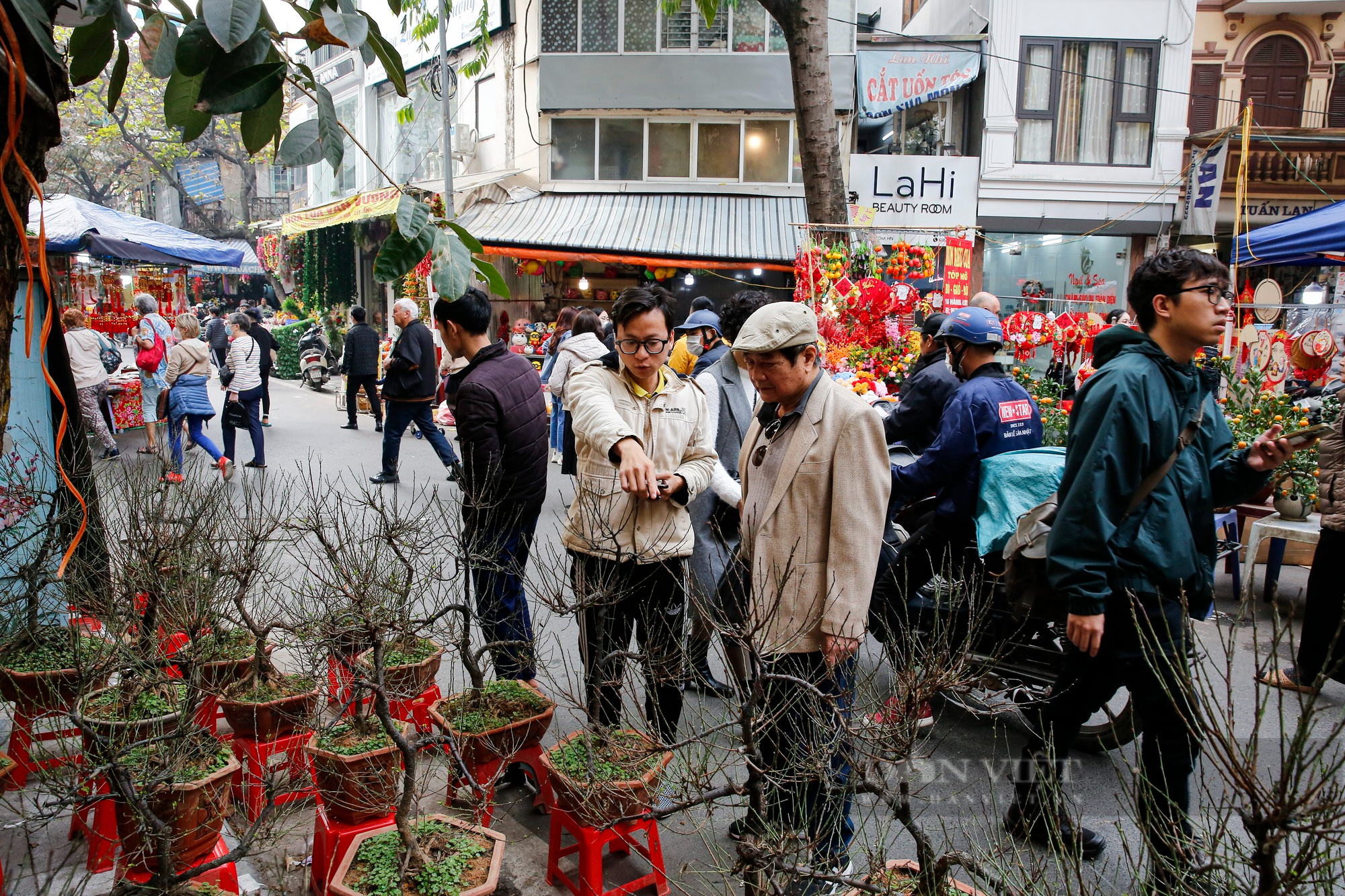 Không khí Tết tràn ngập chợ hoa hơn 100 năm tuổi tại phố cổ Hà Nội - Ảnh 4.