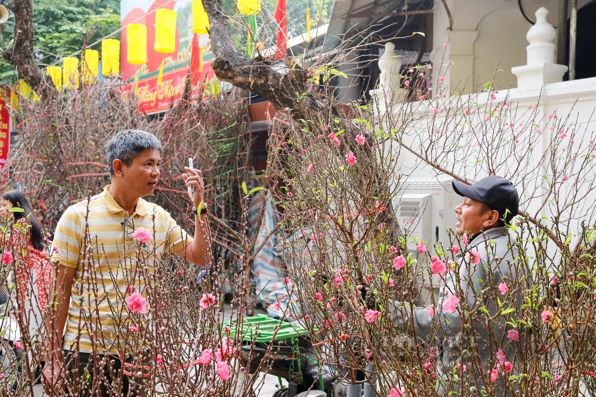 Không khí Tết tràn ngập chợ hoa hơn 100 năm tuổi tại phố cổ Hà Nội - Ảnh 5.