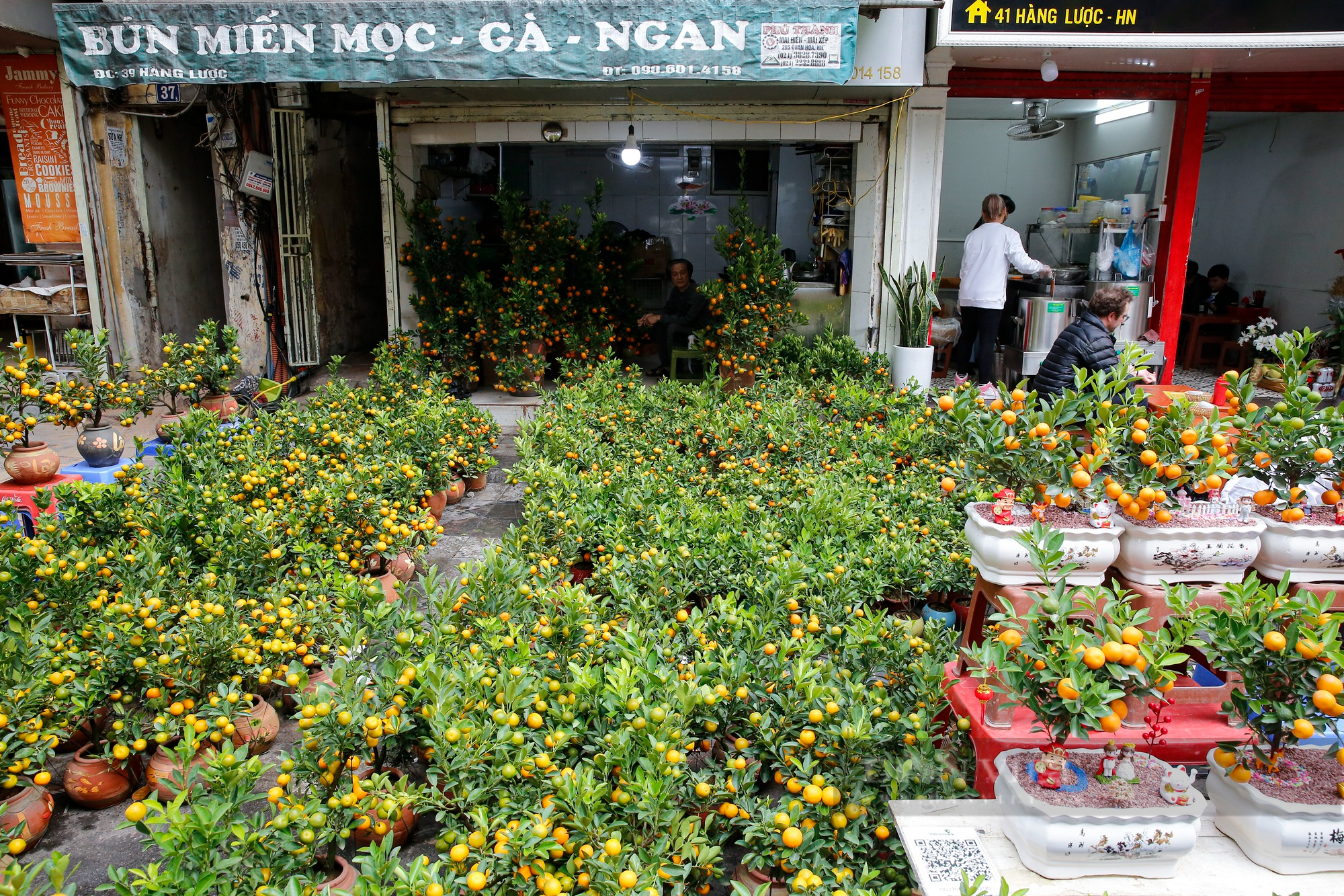 Không khí Tết tràn ngập chợ hoa hơn 100 năm tuổi tại phố cổ Hà Nội - Ảnh 10.