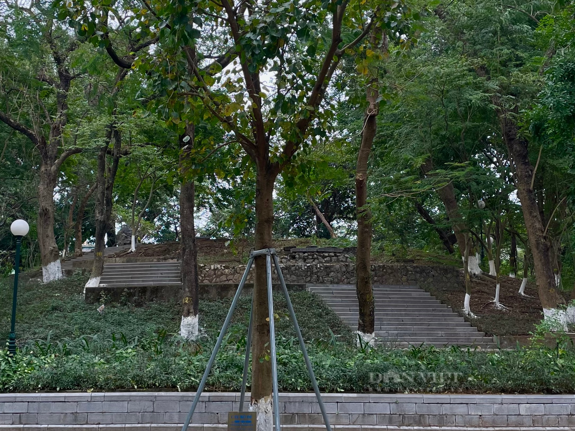 Tiết lộ bất ngờ về bức tượng vua Quang Trung trong công viên Đống Đa Hà Nội - Ảnh 2.