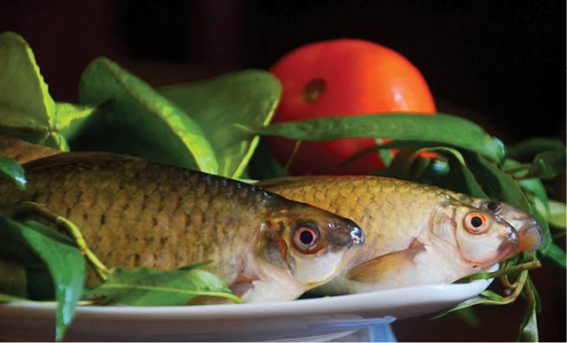 Loài cá tên nghe lạ ở TT-Huế, tới mùa từ đầu nguồn bơi từng đàn về xuôi dân bắt bề nấu canh khế chua - Ảnh 1.