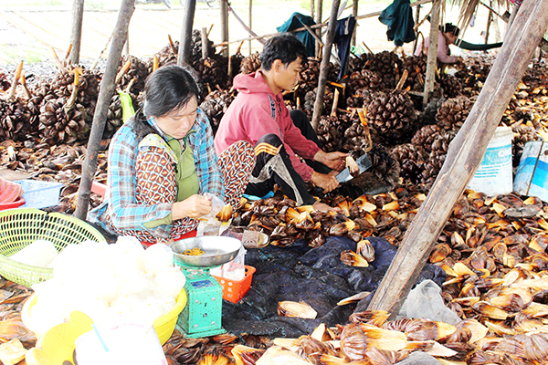 Huyện nào của Đồng Nai bao quanh 3/4 là sông nước, có loại cây lá bán ra tiền, quả là đặc sản? - Ảnh 2.