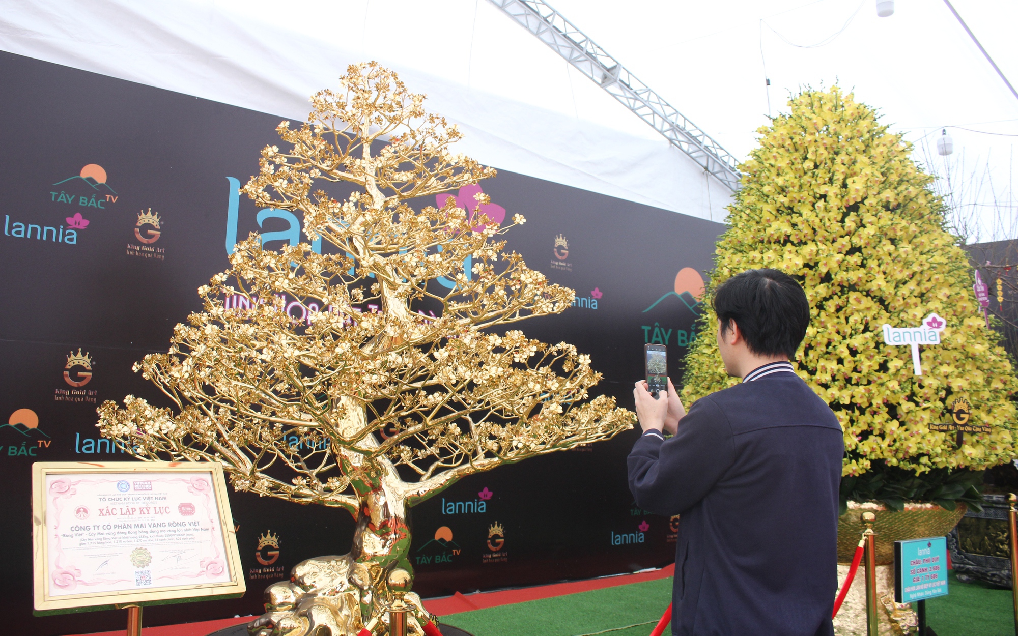 Giữa Thủ đô Hà Nội: Cây mai dát vàng 24k dáng rồng &quot;trình làng&quot; tại chợ hoa, cây cảnh Tết